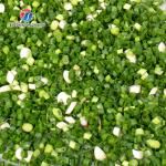 2.25KW 140KG Large commercial cutting machine vegetable and fruit cutting