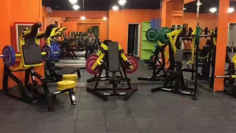 Strength Machine Seated Bicep Tricep Curl Machine For Gym Commercial