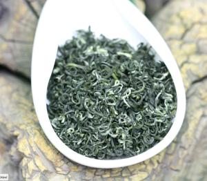 China Sichuan green tea 2018 xincha mengding mountain green tea factory