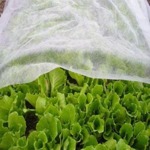 Hygiene Agriculture Industry PP Nonwoven Fabric Hydropilic / Hydrophobic