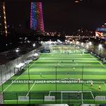 Eco-Friendly Sustainable Artificial Grass for Football Fields All-Season