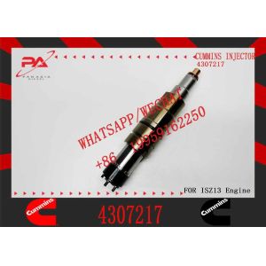 China Fuel Injector 4307217 on sale