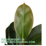 80cm Nearly Natural Looking Oak Tree Faux Plants Ornamental Indoor Tree