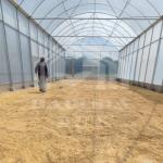 Galvanized Steel Pipe Frame Tunnel Greenhouse for Vegetables and Fruits