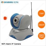 Alarm Video Push P2P IP Camera WIFI