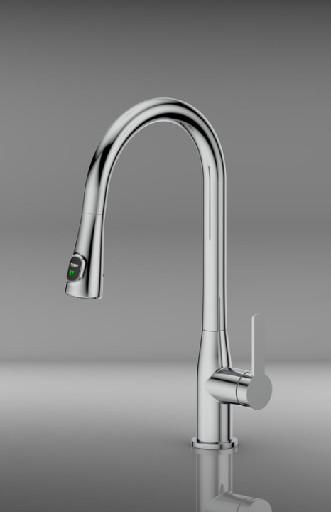 Kitchen Single Lever Sink Mixer Tap With Pull Out Dual Rinsing Spray