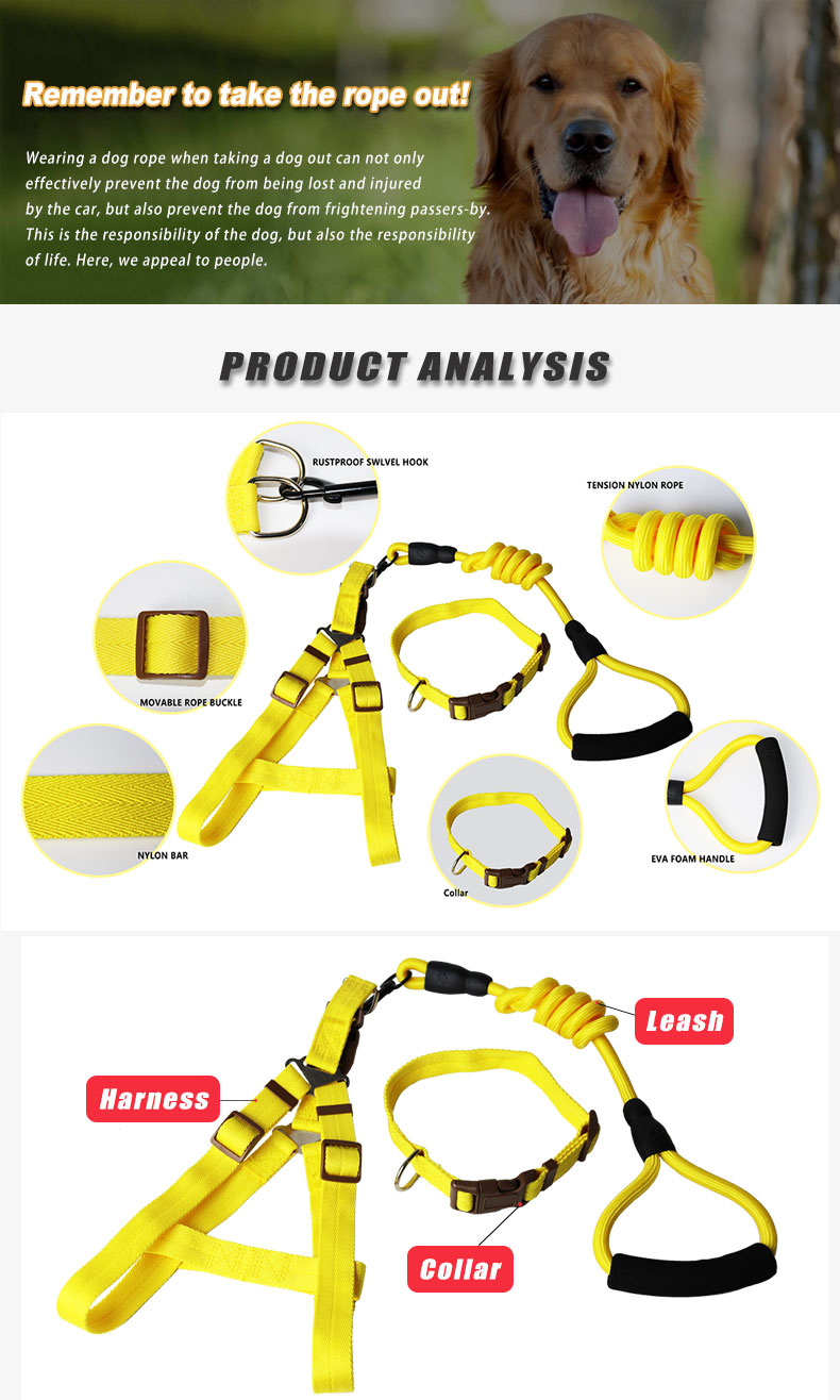 Fashion Colorful Pet Supplies Dog Harness And Dog Collar With Leash Rope