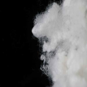 China 7D Flame Retardant Fiber 64mm Flame Retardant Hollow Conjugated Polyester Fibre factory