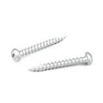 Torx Drive Stainless Steel304 Coated Deck Ground Screw for Wooden Ceiling