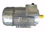 MS ICO141 Cooling IP44 2900Rpm 3 Phase Induction Motor