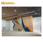Training Rope Speed Climbing Wall Outdoor Indoor Waterproof For School Gym