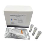 SARS CoV2 Nucleic Acid Detection Kit 100 copies/ml