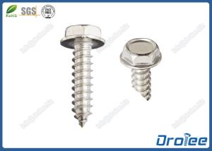 China Stainless Steel 316 Sheet Metal Screw Hex Washer Head ST6.3 x 35mm factory