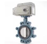 Stainless Steel Shaft Butterfly Valve Wafer Type Butterfly Valve with Various