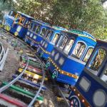 Oval Shape Tourist Train Rides , Scenic Train Rides For Toddlers