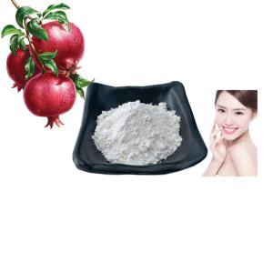 China Commercial 99% Plant Extract Powder Pomegranate Peel Extract Ellagic Acid factory