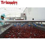 automatic Date / Jujube Processing machine Fruit And Vegetable Processing Line