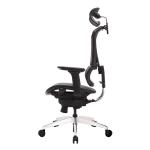 Dynamic Support Ergonomic Mesh Executive Chair 4D Armrest Lumbar Support Chair