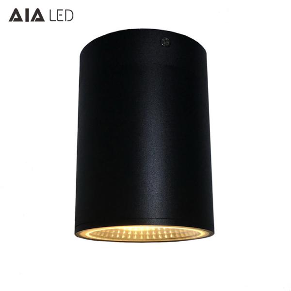 Surface mounted downlight ip65 40W COB LED downlight&outdoor LED downligthing