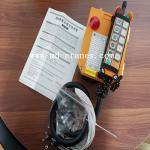 F24-10D Radio Remote Control for Overhead Crane Gantry Crane Jib Crane