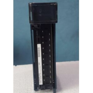 IC694MDL646 GE Input Module 300mm Net Height for Manufacturing