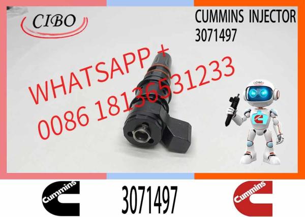 diesel Engine Parts PT N-STC INJECTOR 3071497/3064457 for cummins NTA855 G4
