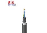 Outdoor SWA Armored 24AWG CAT5E Ethernet LAN Cable With Copper Conductor