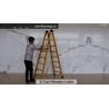 Buy cheap Anti Slip 1.6m 2X6 Fiberglass Step Ladder from wholesalers