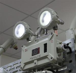 China 180 Mins wall mounted Aluminum Alloy Explosion Proof Emergency Light used for Zone 1, 2 &amp; Zone 21, 22 factory