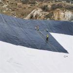 1m-8m Width Asian Design Style Reinforced HDPE LDPE Geomembrane for Landfill 1mm