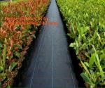 Garden Agricultural Weed Mat,Plastic Ground Cover, Weed Control Mat, pp woven
