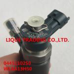BOSCH INJECTOR 0445110250 , 0 445 110 250 , WLAA-13H50 , WLAA13H50 , WLAA 13H50