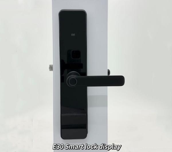 Tuya Ttlock Biometric smart door lock Tuya TTlock Secure Wifi digital smart door