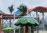 Customized Colorful Carp Spray Aqua Park Equipment For Children / Kids Fun in