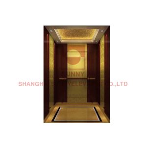 Stainless Steel 304 Residential Home Elevators Translucent Rated Load 400kg