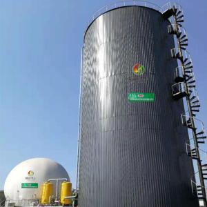 China Biogas Plant Installation Companies Biogas System Cost factory