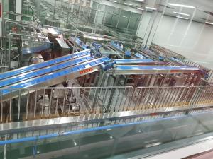 China Low Noise Automatic Packaging Line PLC Control Snacks Packing Machine on sale