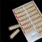 Incisor (2×1)×16 Dental Acrylic Resin Composite Denture VITA System False Teeth