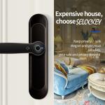 Zinc Alloy House Smart Locks