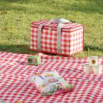25L Aluminum Film Camping Lunch Bag Picnic Folding Extra Large Insulated Cooler