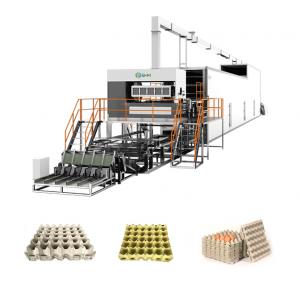 China High Capacity Egg Tray Manufacturing Machine ODM Egg Tray Automatic Machine on sale