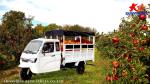 200cc Motorized Tricycles for Cargo Transportation Payload Capacity ≥400kg