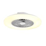 Ceiling Fan Light with Starlight Cover