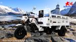 150cc/175cc/200cc Engine Motorized Tricycles Cargo Tricycles for Adult by WUYANG