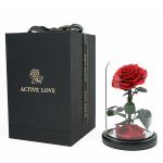 Everlasting Preserved Rose Glass Dome Bring A Unforgettable Experience