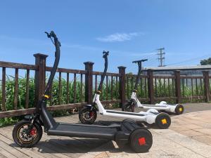 China 4h charging Front Wheel 15.6 Inch E Scooter For Commuting factory