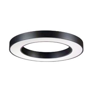 IP20 4800lm Surface Mounted LED Ring Ceiling Light 65W