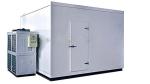 Refrigerant Freon Walk in Cooler for Commercial Fresh Vegetable Preservation