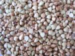 buckwheat huller, buckwheat shelling machine, buckwheat sheller machine
