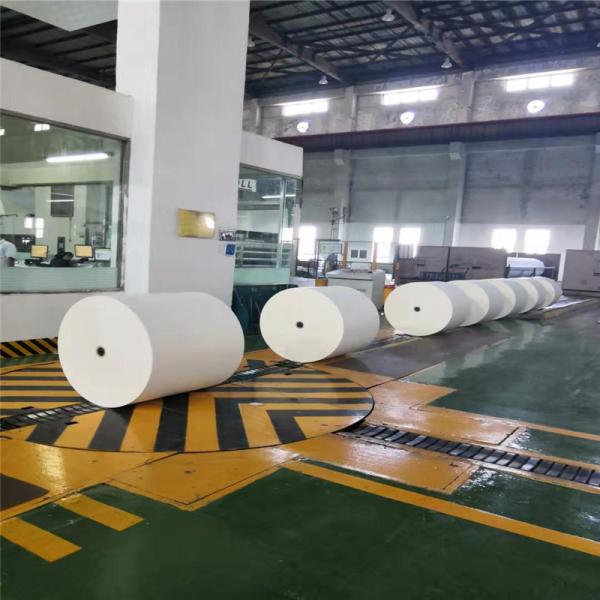 Budget-Friendly 70gsm Woodfree Offset Printing Paper Roll 3or-4% Grammage